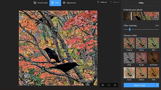How to Edit Pictures on Windows 10? - keysdirect.us