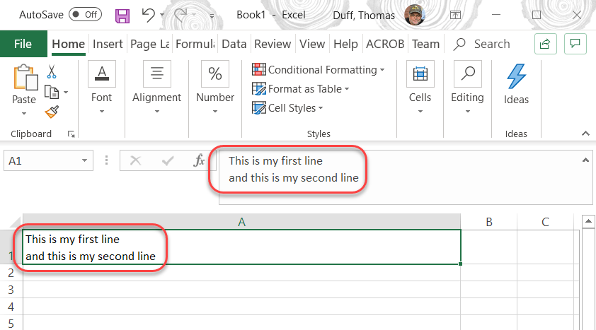 How to Put Multiple Lines in Excel Cell? - keysdirect.us